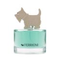 FERRIONI GREEN FOR HIM 100ML EDT